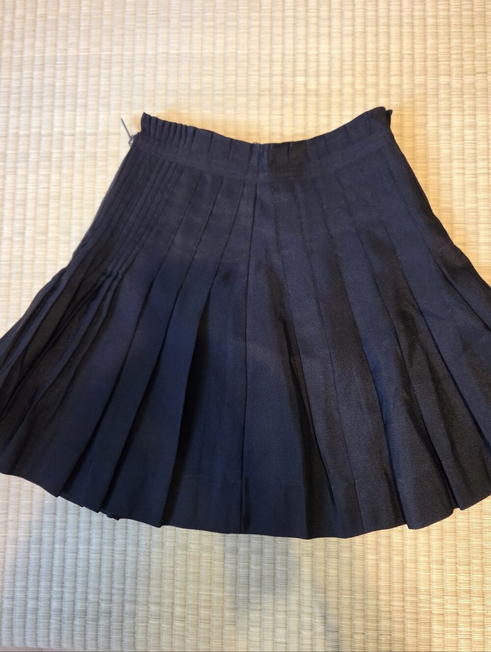 Zac Posen Black Pleated A-Line Skirt